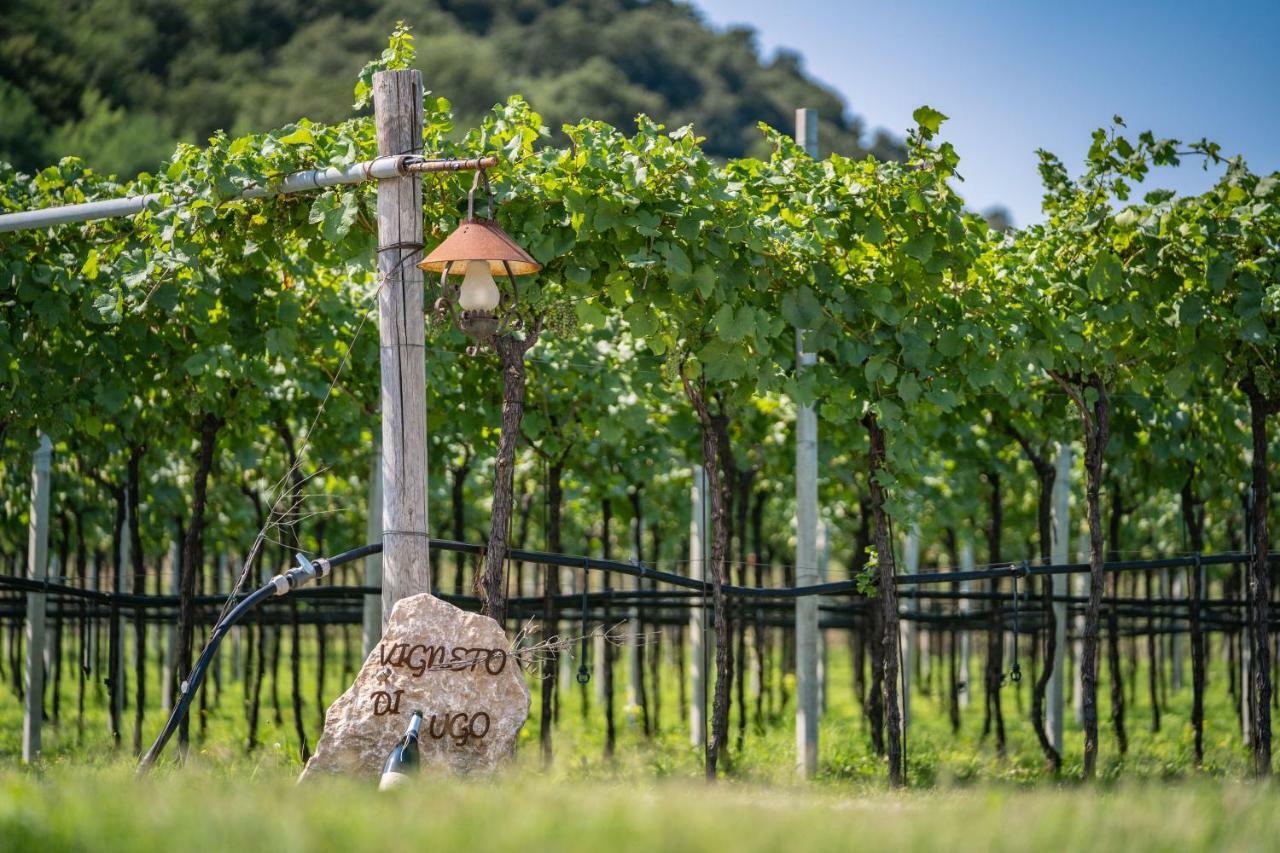 Agriturismo La Pertica Costermano Luaran gambar